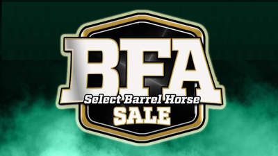 2024 BFA Horse Sale Demos